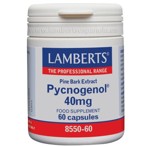 Pycnogenol® 40 mg es un Extracto de Corteza de Pino Marítimo