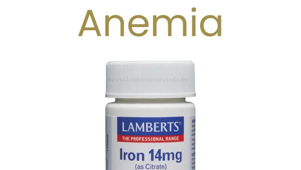 Protocolo de Lamberts para utilizar suplementos alimenticios en el tratamiento para la Anemia