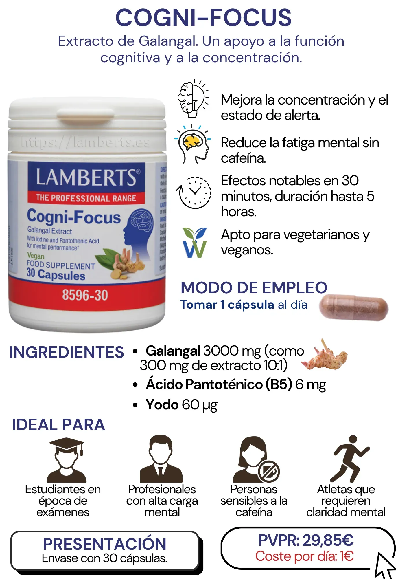 Cogni focus-lamberts